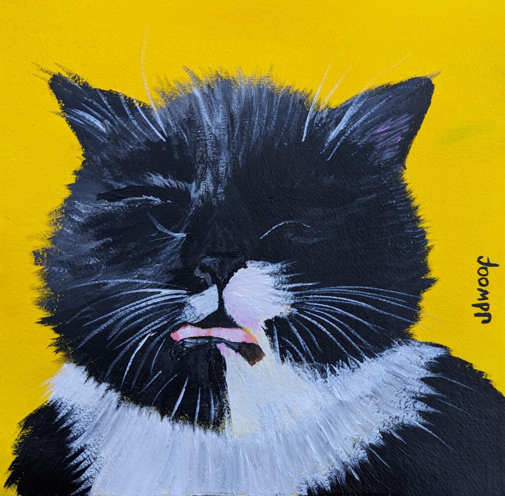 cat portrait, jdwoof, miss wood for the trees