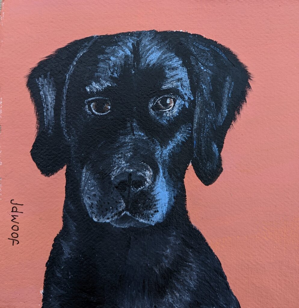 dog portrait, jdwoof, miss wood for the trees