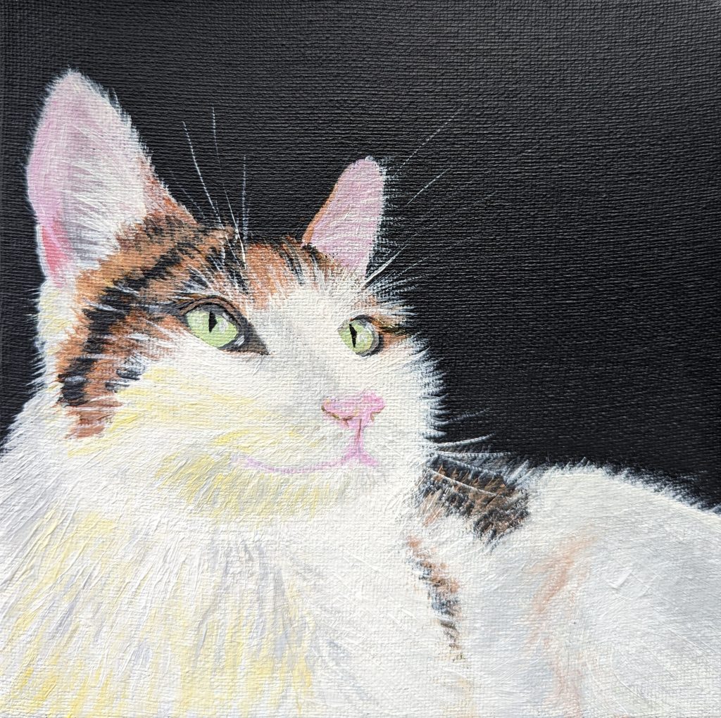 jdwoof cat potrait